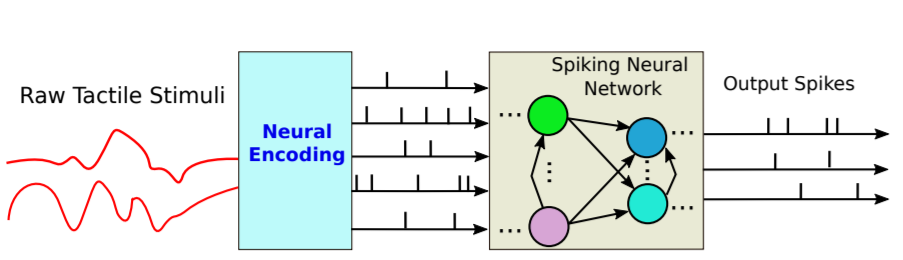 Fast Texture Classification Using Tactile Neural Coding and Spiking Neural Network